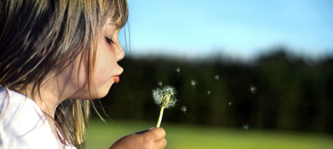 Flicka som blåser maskrosfrön. Foto: Shutterstock